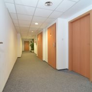 Lokal na wynajem
