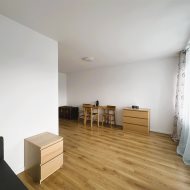 Karmelicka dwupokojowe 47,50 m2 rozkładowe widok
