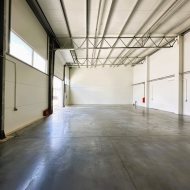 do wynajecia magazyn 250 m2 